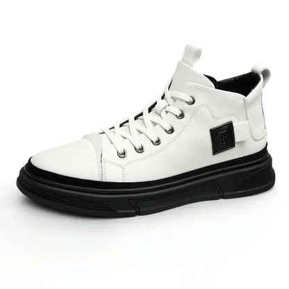 Modell CLI-10