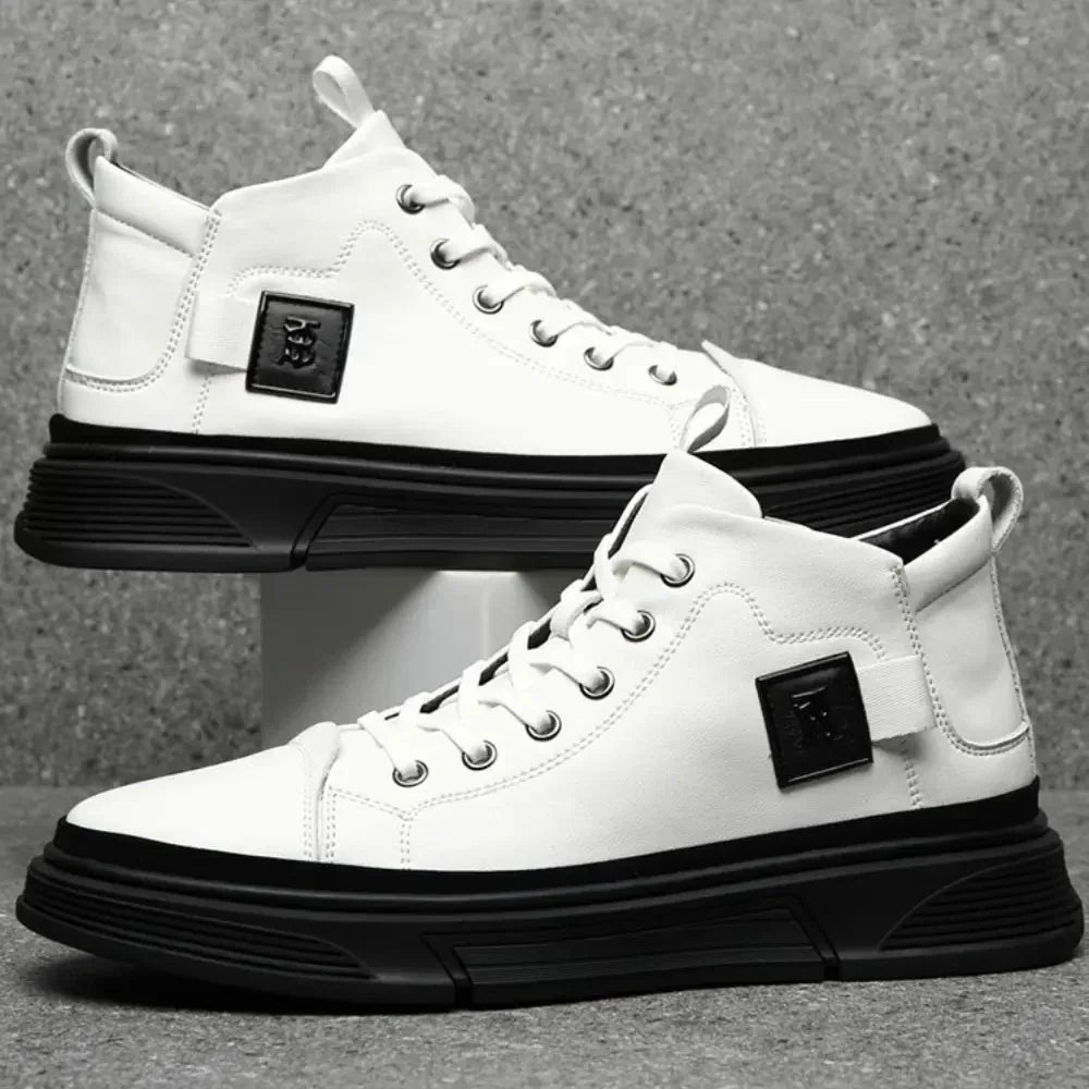Modell CLI-10