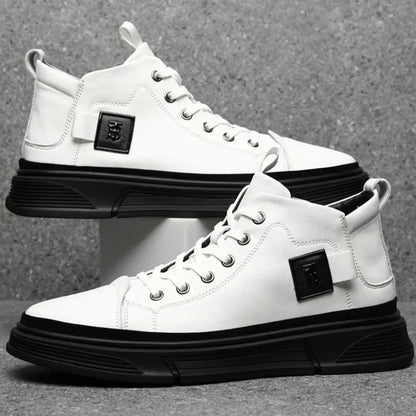 Modell CLI-10