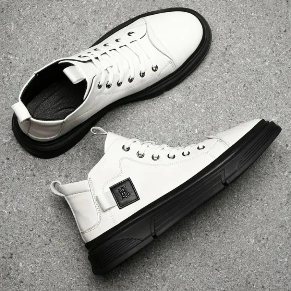 Modell CLI-10