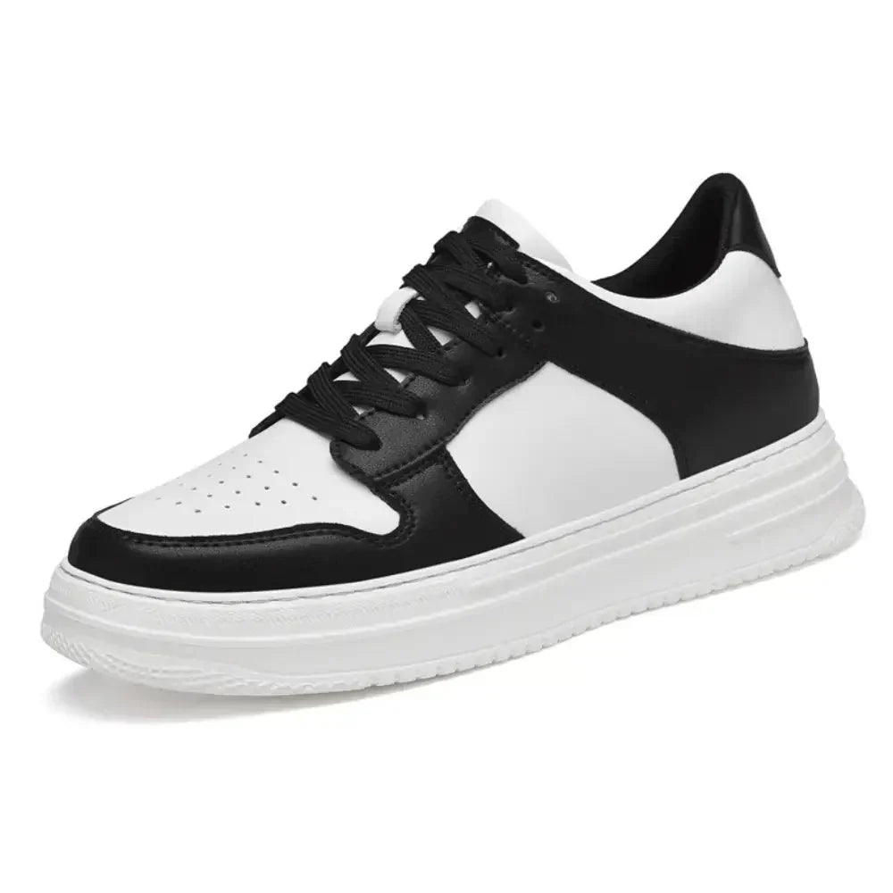 Modell DAX-8